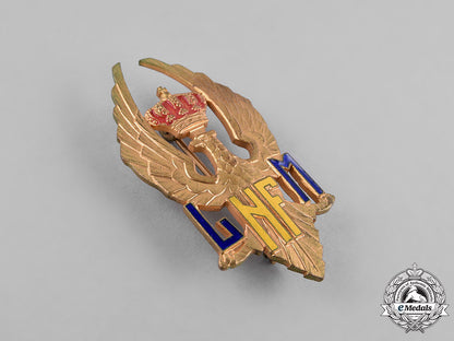 romania,_kingdom._a_nicolae_filipescu_military_high_school_badge_c18-039538_1_1