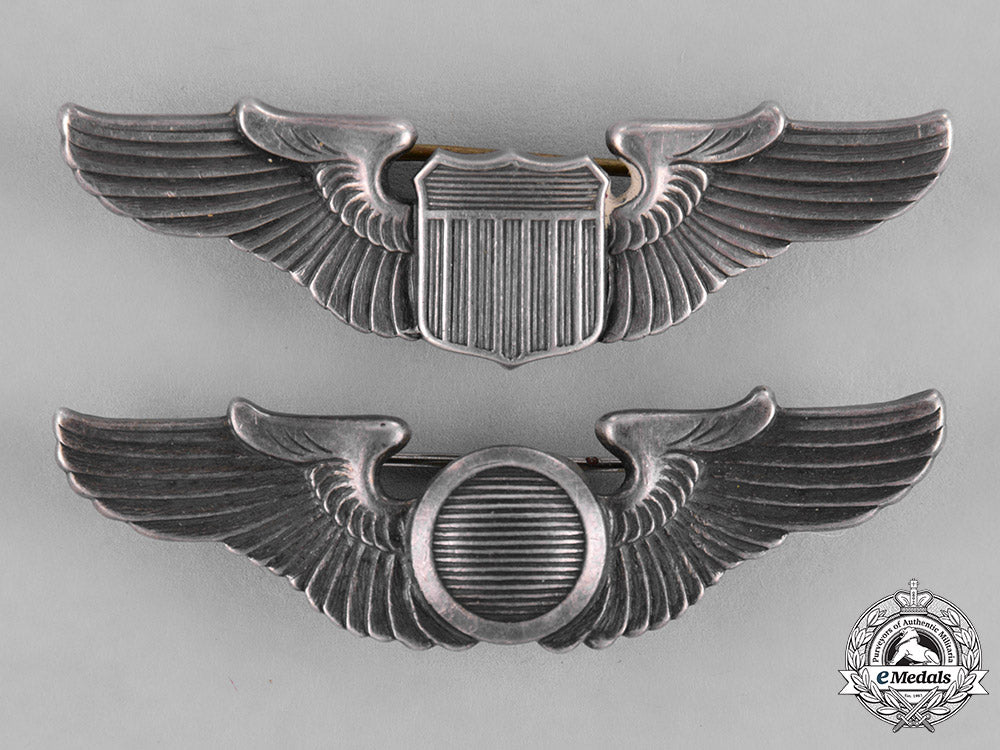 united_states._a_pair_of_united_states_army_air_force(_ufaaf)_wings_c18-039752