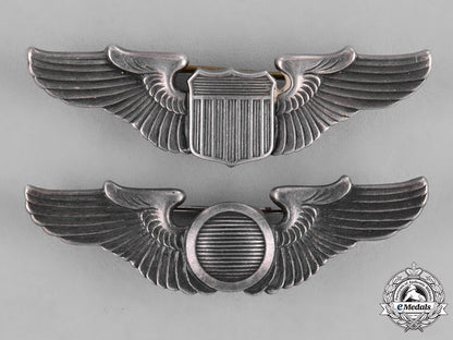 united_states._a_pair_of_united_states_army_air_force(_ufaaf)_wings_c18-039752