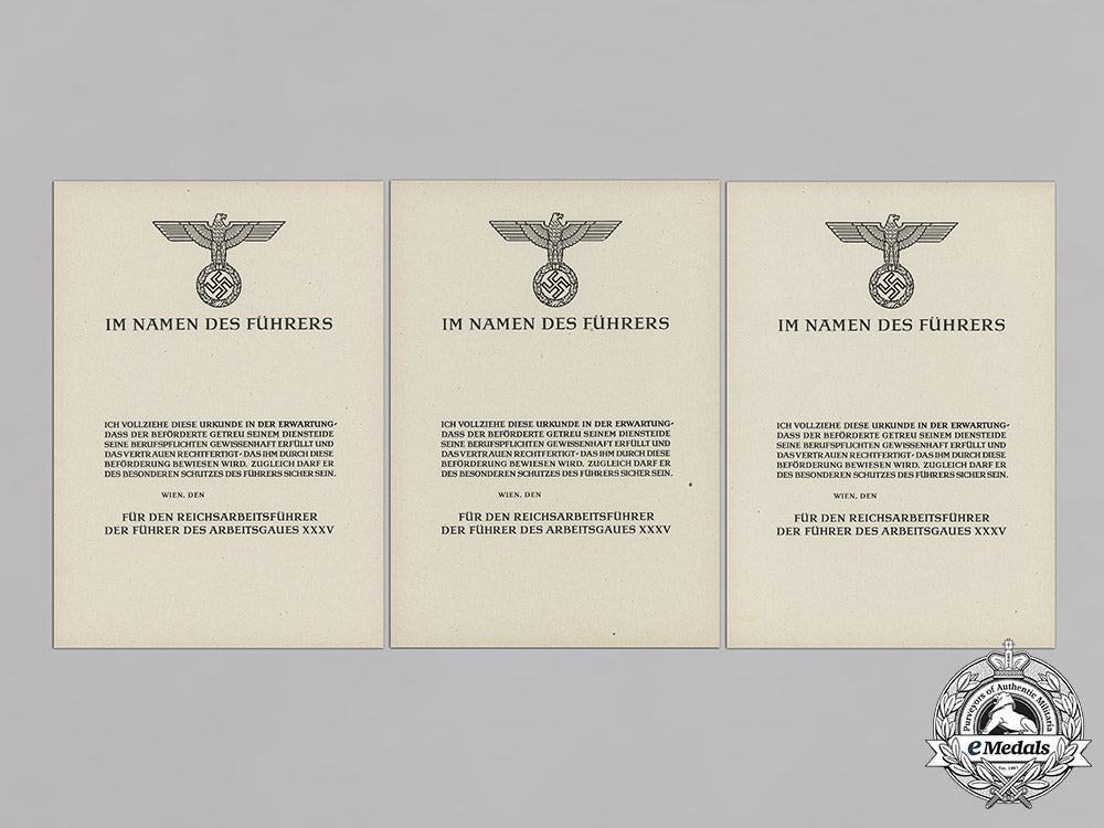 germany,_rad._a_set_of_unissued_reichsarbeitsdienst(_reich_labour_service)_promotion_documents_c18-040442_1_1