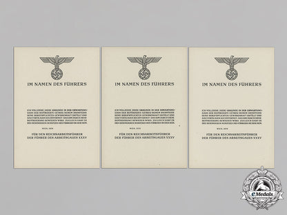 germany,_rad._a_set_of_unissued_reichsarbeitsdienst(_reich_labour_service)_promotion_documents_c18-040442_1_1