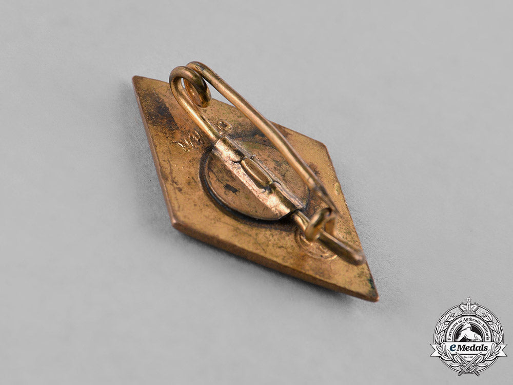 germany,_hj._a_pair_of_hj_membership_badges_c18-040552