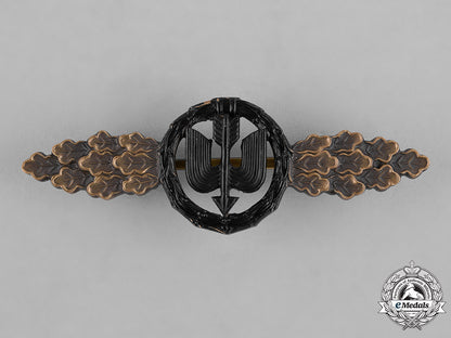 germany,_luftwaffe._a_luftwaffe_short_range_night_fighter_clasp,1957_version_c18-042235