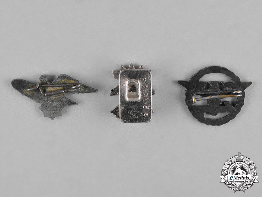 germany,_third_reich._a_lot_of_second_war_period_badges_c18-042462