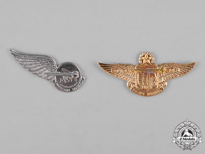 united_states._two_trans_world_airlines_junior_pins_c18-043443_1_1_1_1_1_1_1_1
