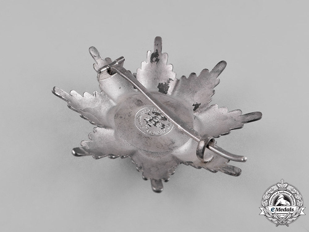 braunschweig,_dukedom._an_order_of_henry_the_lion,_i_class_star,_by_hermann_jürgens,_c.1918_c18-043551
