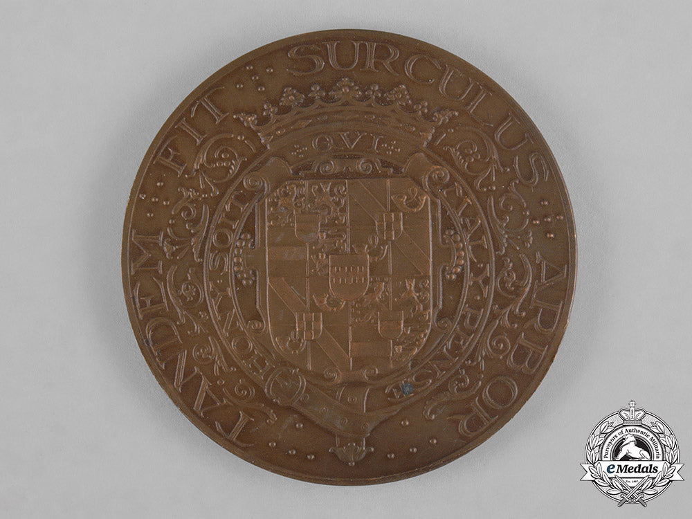 netherlands,_kingdom._a_lot_of_three_royal_medallions_c18-043739_1_1_1_1_1_1_1_1