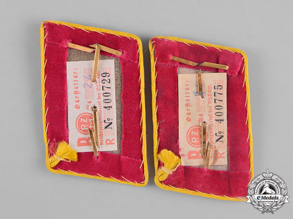 germany,_nsdap._a_pair_of_rzm-_marked_reichs_level_abschnittsleiter_collar_tabs_c18-043872