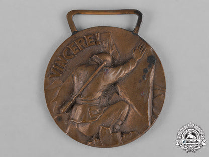 italy,_kingdom._a_medal_for_the_campaign_against_france1940_c18-044267