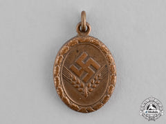 Germany, Rad/Wj. A Miniature Bronze Grade Reich Labour Service Of Young Women (Rad/Wj) Faithful Service Medal