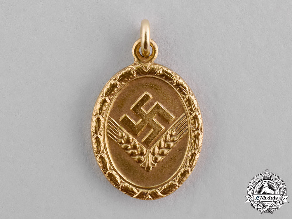 germany,_rad/_wj._a_gold_grade_reich_labour_service_of_young_women(_rad/_wj)_faithful_service_medal_c18-045736