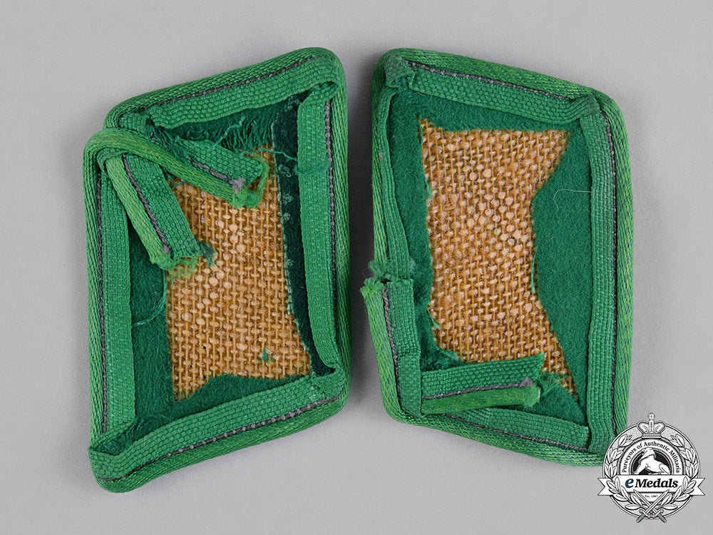 germany,_luftwaffe._a_pair_of_luftwaffebeamte_assistent_collar_tabs_c18-045867