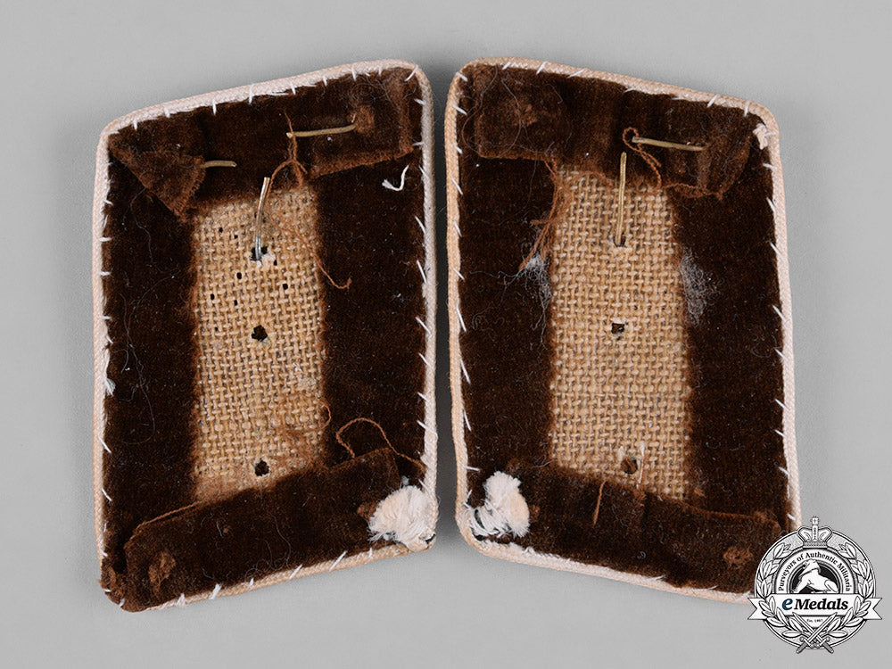 germany,_nsdap._a_pair_of_political_district_leader_candidate_collar_tabs_c18-045946