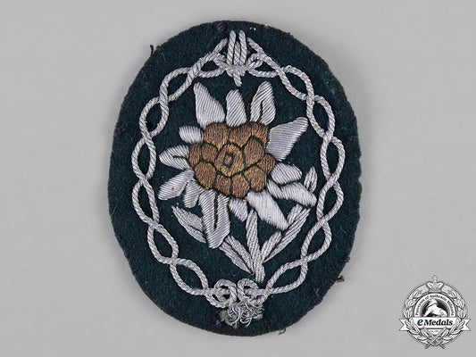 germany,_heer._a_heer(_army)_gebirgsjäger(_mountain_troops)_edelweiss_sleeve_insignia_c18-045981
