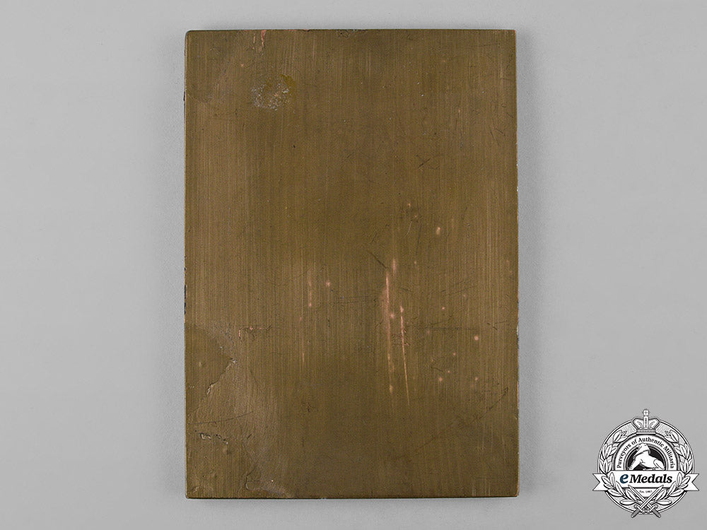 germany,_imperial._a_ritter_von_epp_colonial_services_plaque_c18-048761_1_1