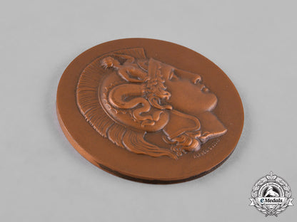 europe._a_lot_of_nine_bronze_commemorative_table_medals,_c.1950_c18-049662