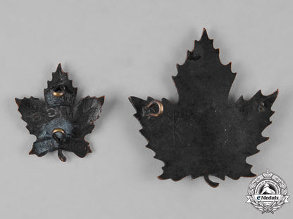 canada._an_eaton_motor_machine_gun_battery_cap_badge&_collar_tab_c18-049972
