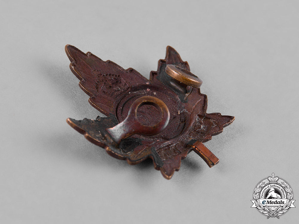 canada._a_lot_of_five_first_war_battalion_collar_badges_c18-050062