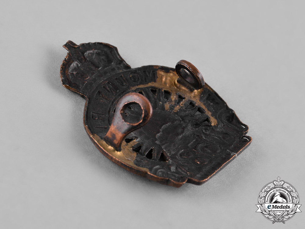 canada._a_lot_of_six_first_war_battalion_cap&_collar_badges_c18-050076