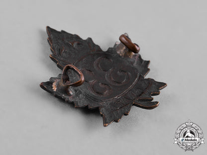 canada._a_lot_of_eight_first_war_battalion_collar_badges&_insignia_c18-050123_1