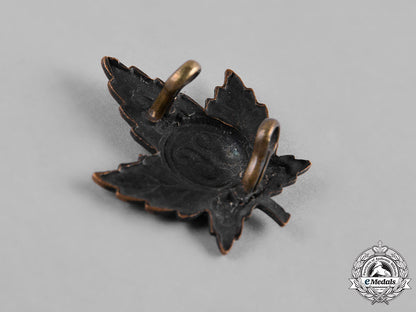 canada._a_lot_of_eight_first_war_battalion_collar_badges&_insignia_c18-050124_1
