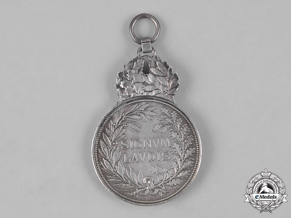 austria,_imperial._a_pair_of_military_merit_medals_c18-051744