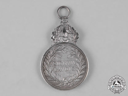 austria,_imperial._a_pair_of_military_merit_medals_c18-051744
