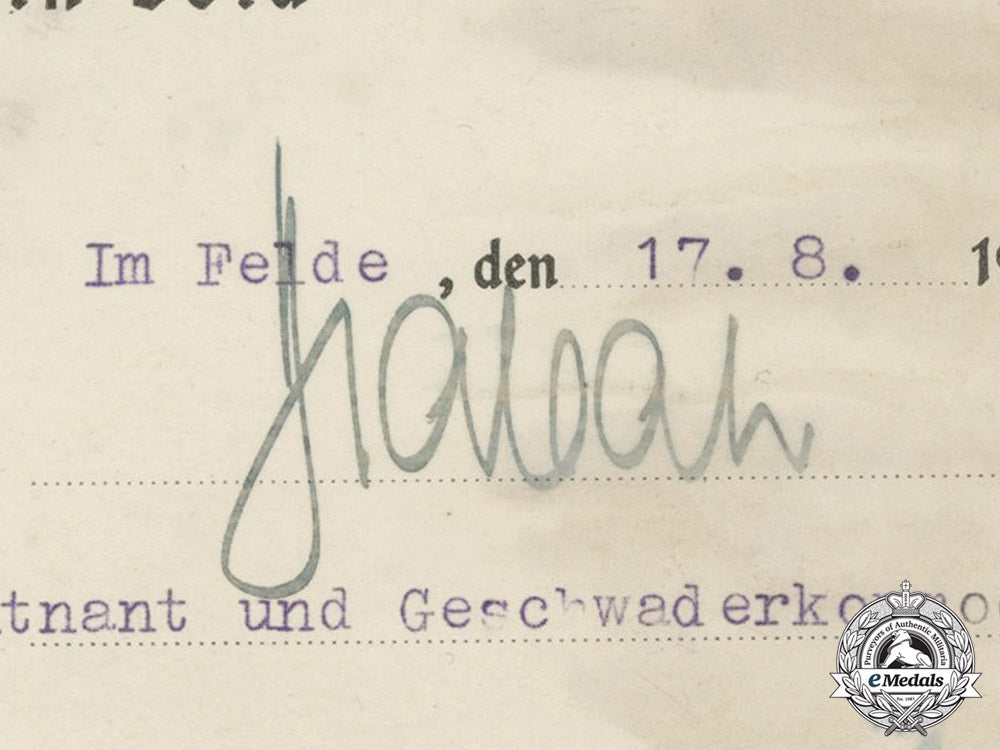 germany,_luftwaffe._an_outstanding_document_group_to_ace_leutnant_peter_düttmann,152_victories_c18-0534