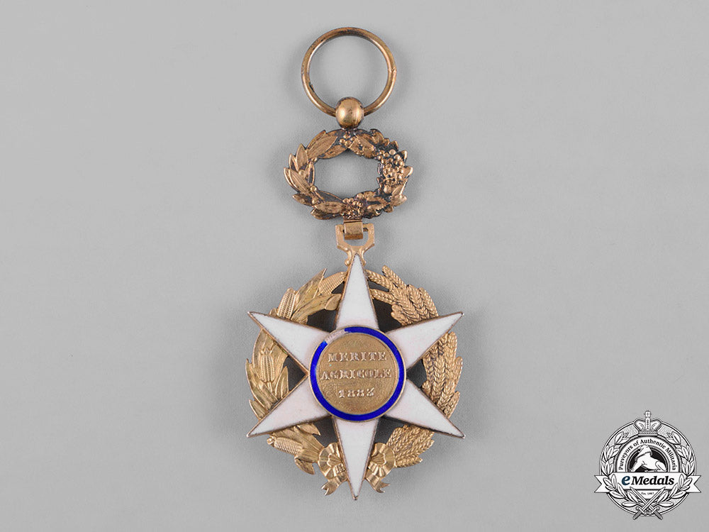 france,_iii._an_order_of_agricultural_merit,_ii_class_officer,_c.1910_c18-053969