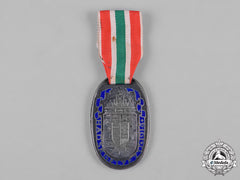 Hungary, Kingdom. A First War Commemorative Medal 1914
