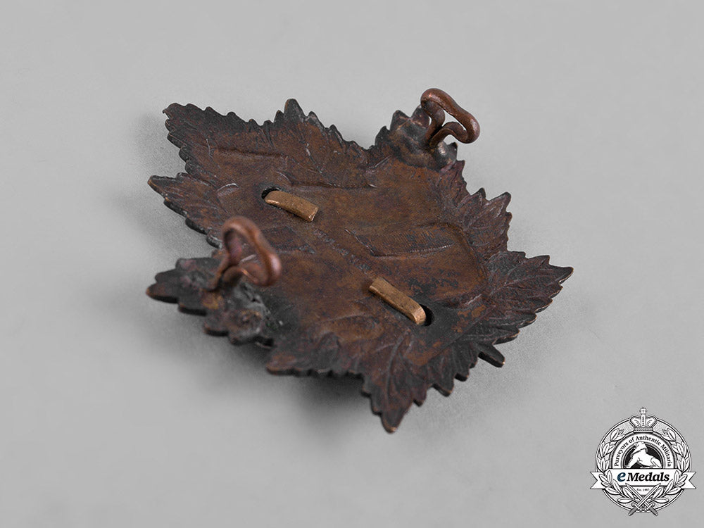 canada._a_lot_of_nine_first&_second_war_badges_c18-056546