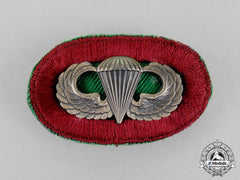 United States. A Medical Parachutist Badge