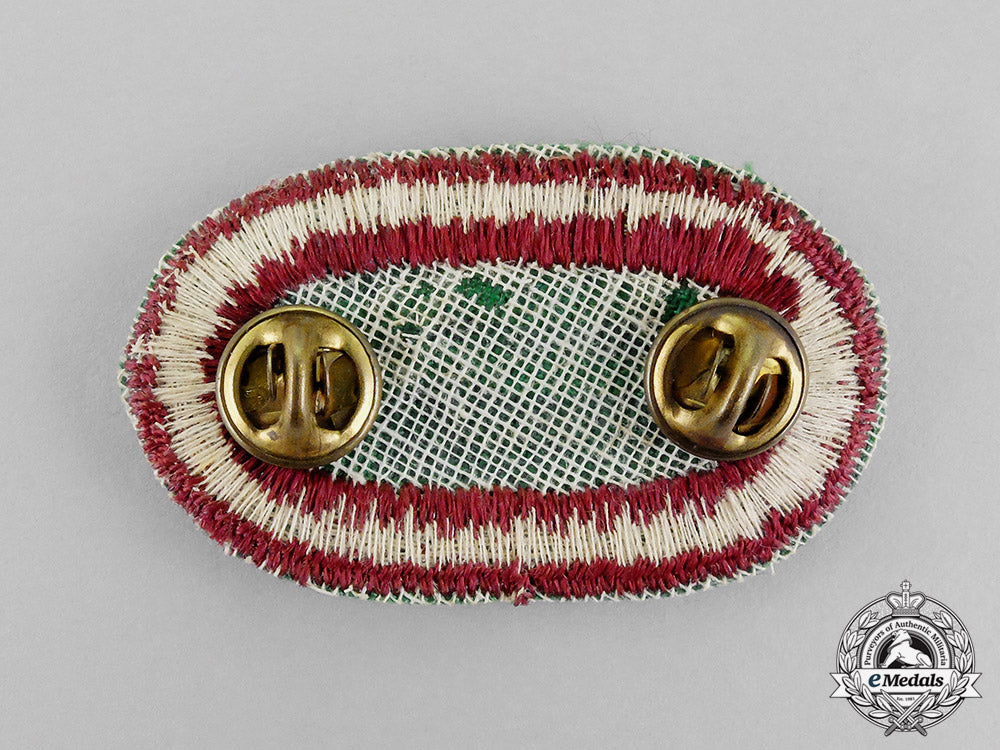 united_states._a_medical_parachutist_badge_c18-0599