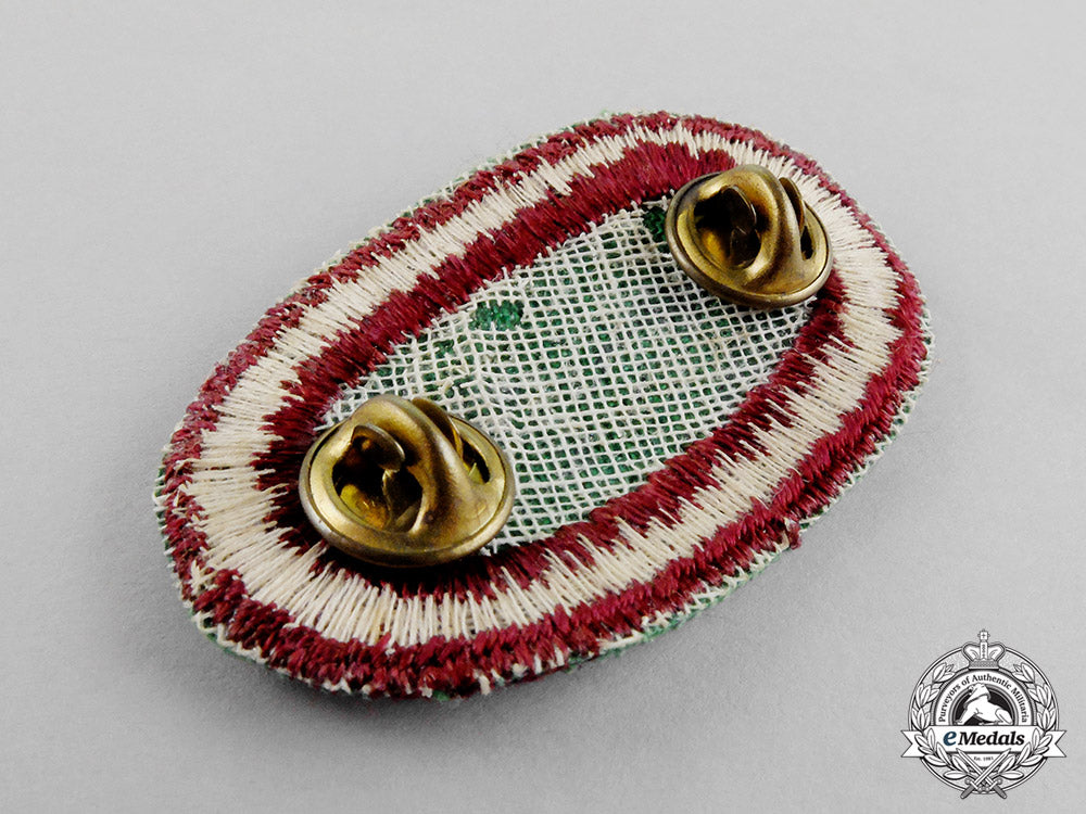 united_states._a_medical_parachutist_badge_c18-0600