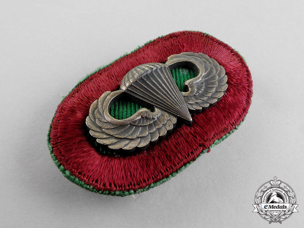 united_states._a_medical_parachutist_badge_c18-0601