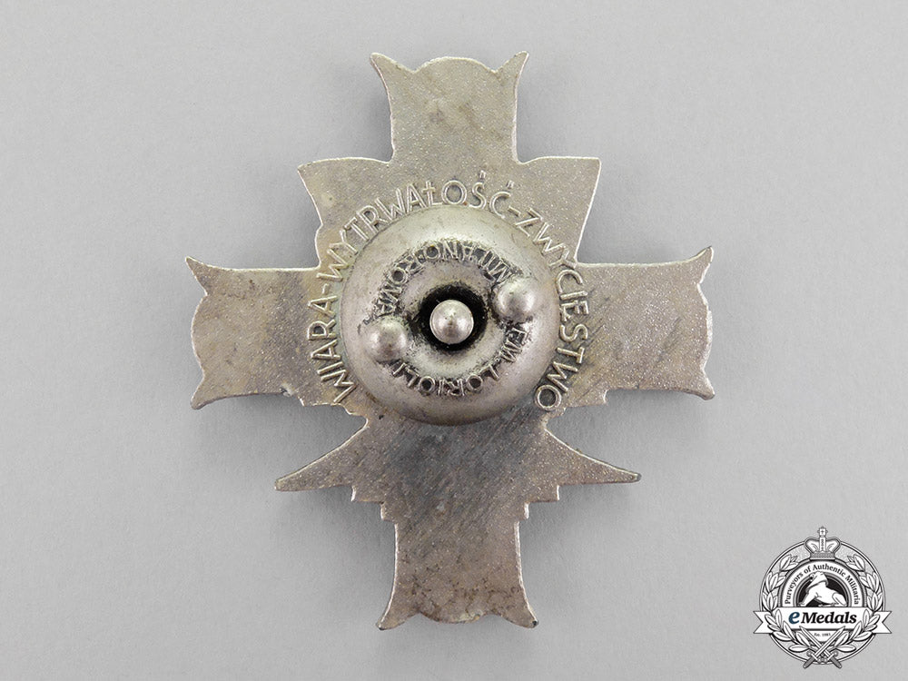 poland._a3_rd_carpathian_rifle_division_badge_with_packet_c18-771_1_1