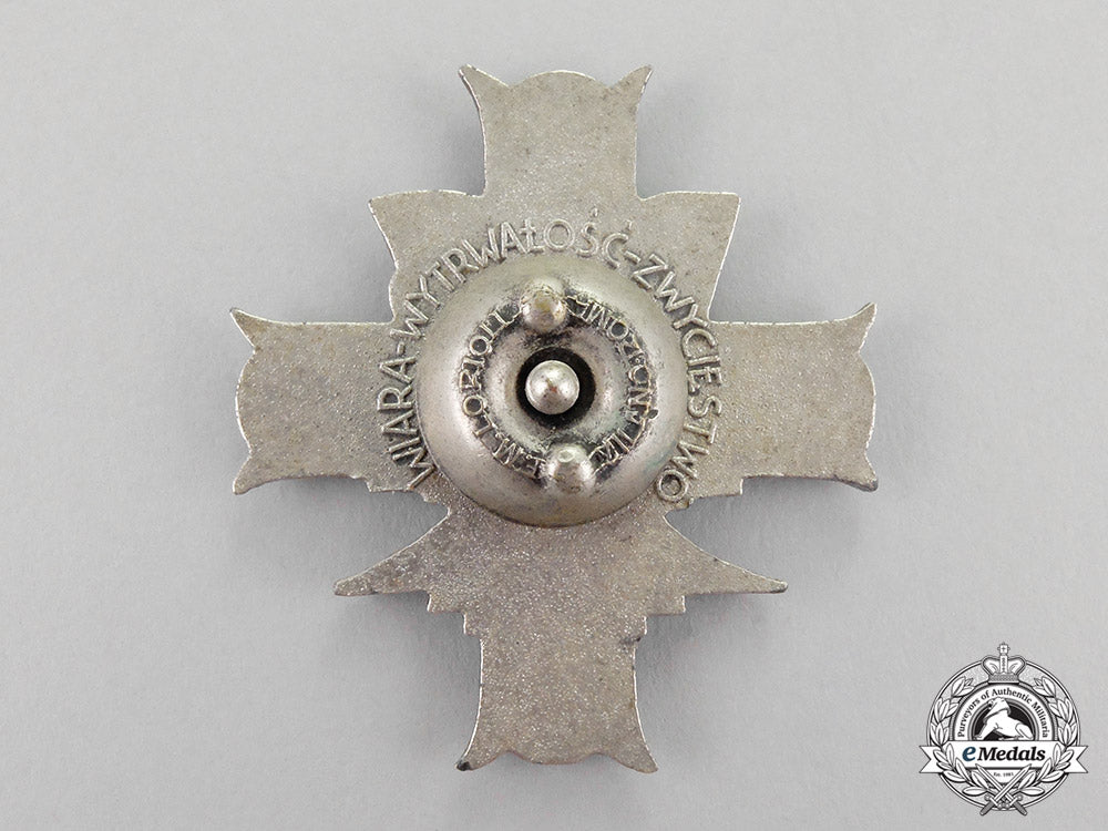 poland._a3_rd_carpathian_rifle_division_badge_c18-850_1