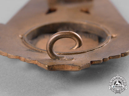 germany,_third_reich._a_technische_nothilfe(_technical_emergency_help)_service_honour_badge_by_wilhelm_fühner_c19-013