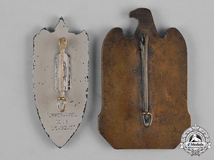 germany,_third_reich._a_pair_of_nuremberg_rally_badges_c19-018