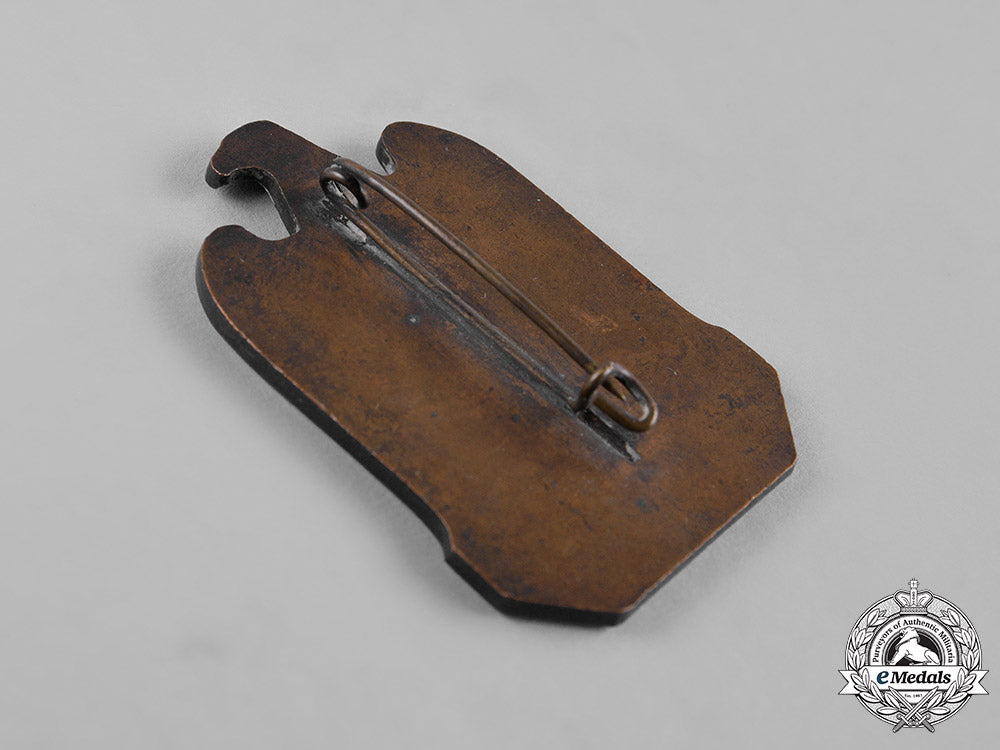 germany,_third_reich._a_pair_of_nuremberg_rally_badges_c19-020