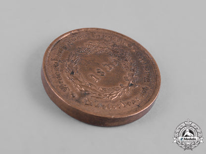 braunschweig,_dukedom._a_waterloo_medal_c19-0678