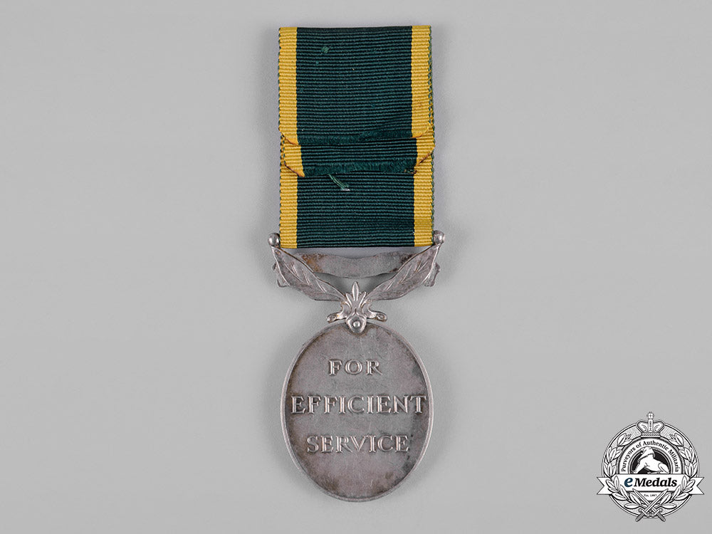 new_zealand._an_efficiency_medal,_wellington_regiment_c19-1294