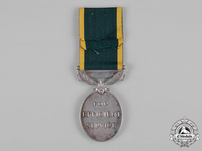 new_zealand._an_efficiency_medal,_wellington_regiment_c19-1294
