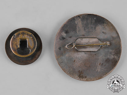 germany,_third_reich._a_pair_of_proficiency_badges_c19-1795