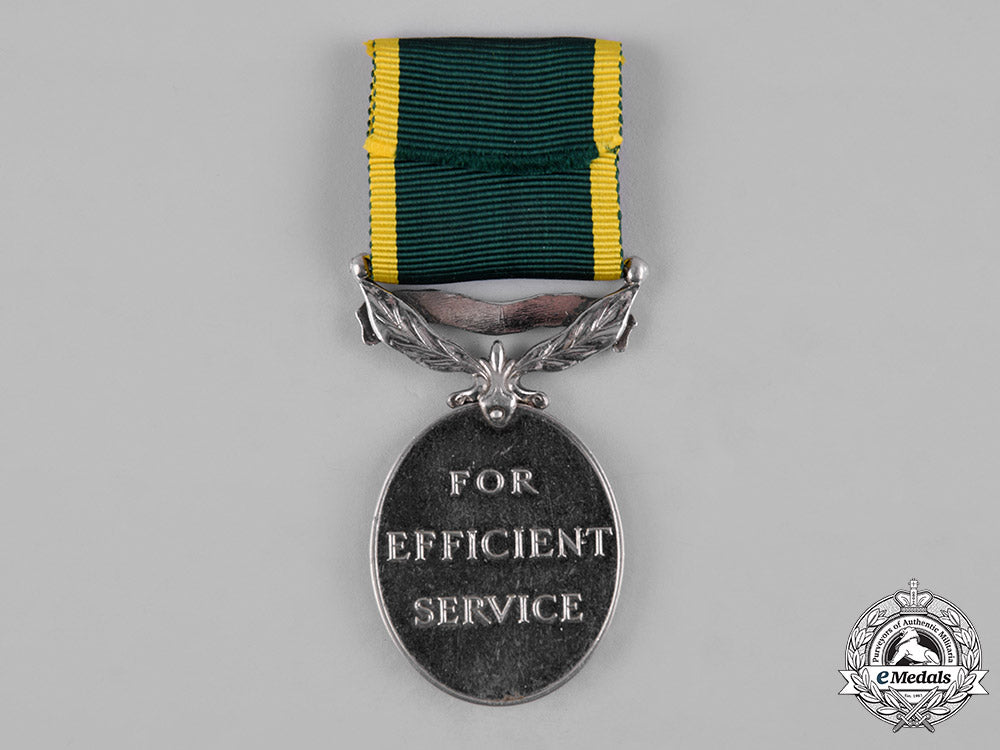 canada._an_efficiency_medal,_to_sergeant_w.j.j._woodhouse,_royal_canadian_infantry_corps_c19-2177