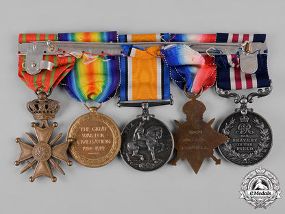 canada._a_military_medal_to_acting_battery_sergeant_major_edward_goss,_bravery_in_the_field,_cfa_c19-2529