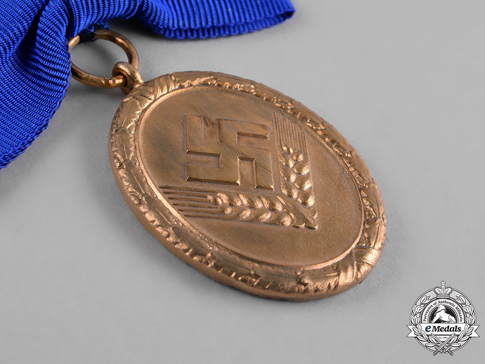 germany,_rad/_wj._a_gold_grade_reich_labour_service_of_young_women(_rad/_wj)_faithful_service_medal_c19-268_1_1