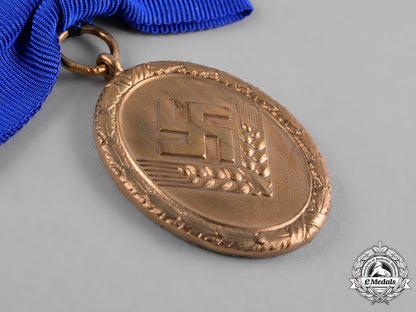 germany,_rad/_wj._a_gold_grade_reich_labour_service_of_young_women(_rad/_wj)_faithful_service_medal_c19-268_1_1