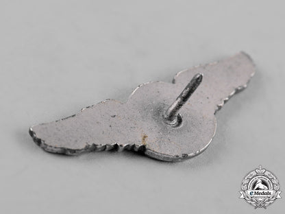 united_states._a_lot_of_united_states_army_air_force_miniature_wings_and_badges_c19-2731