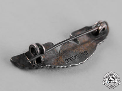 united_states._a_lot_of_united_states_army_air_force_miniature_wings_and_badges_c19-2732